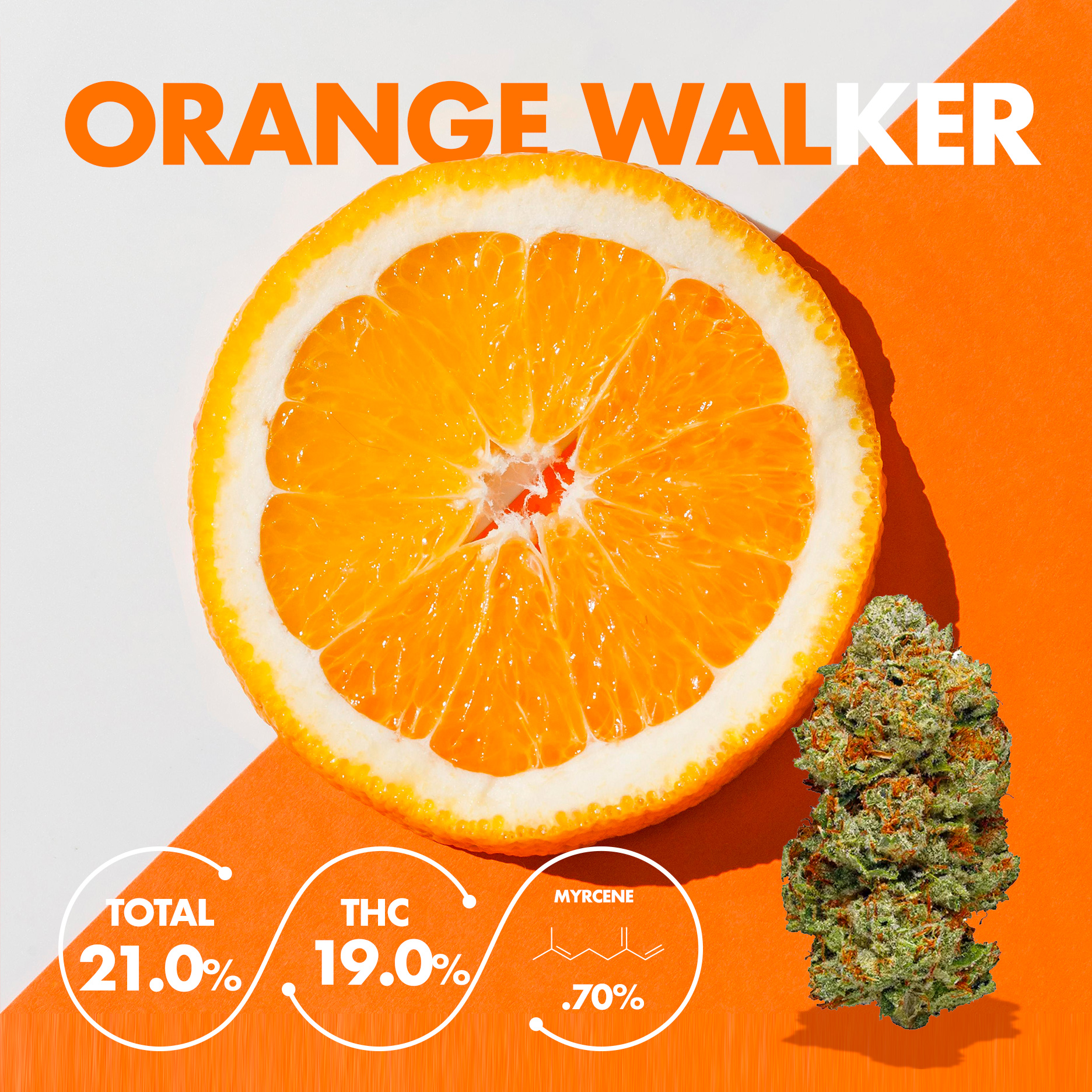 Orange Walker