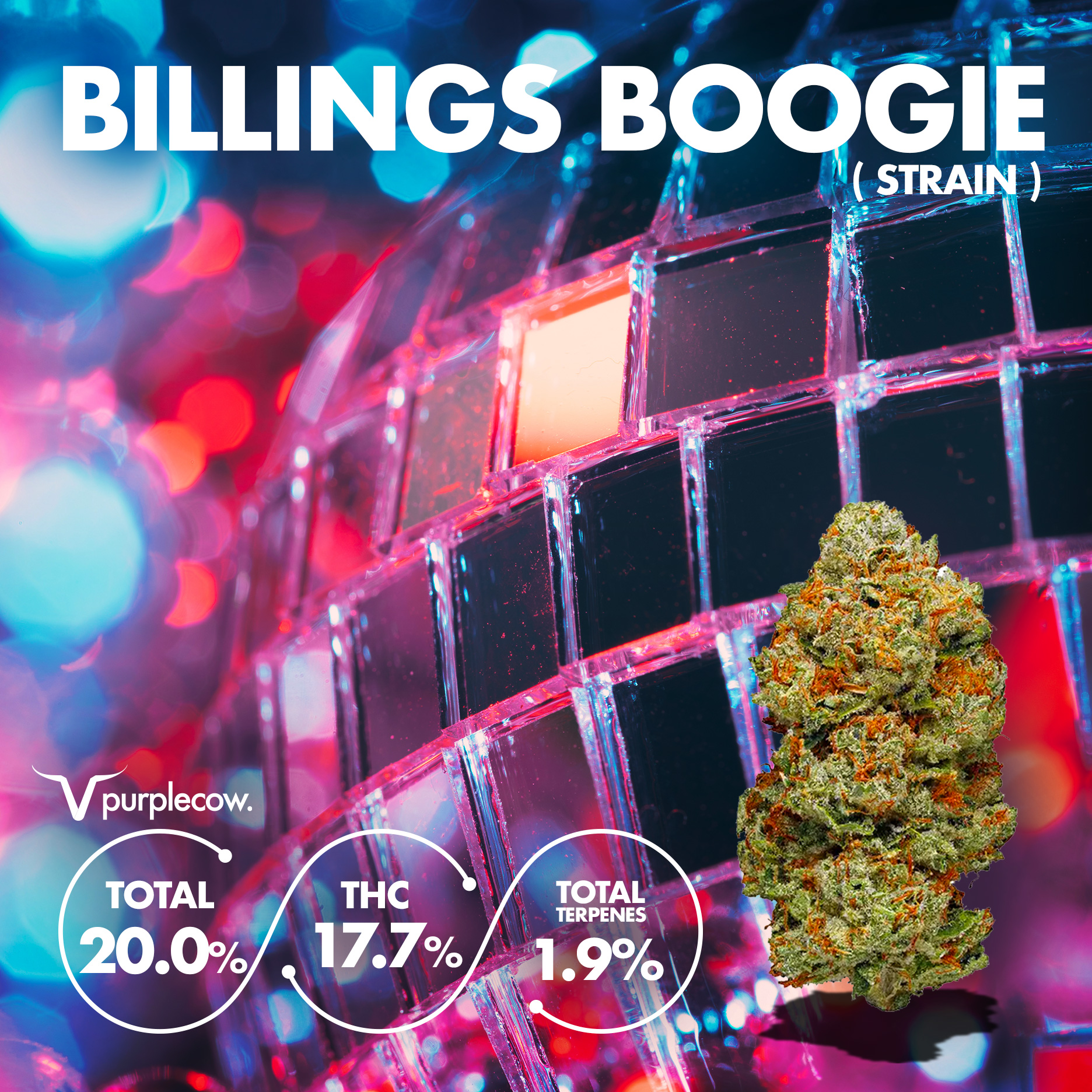 Billings Boogie