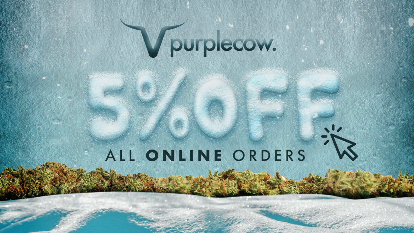 Winter time 5% off online orders promo